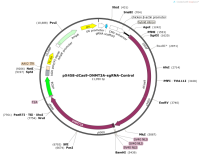 pX458-dCas9-DNMT3A-sgRNA-Control