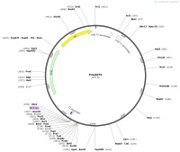 Pmo9075Map