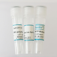 Qizyme®HiFiDNAPolymerase高保真DNA聚合酶