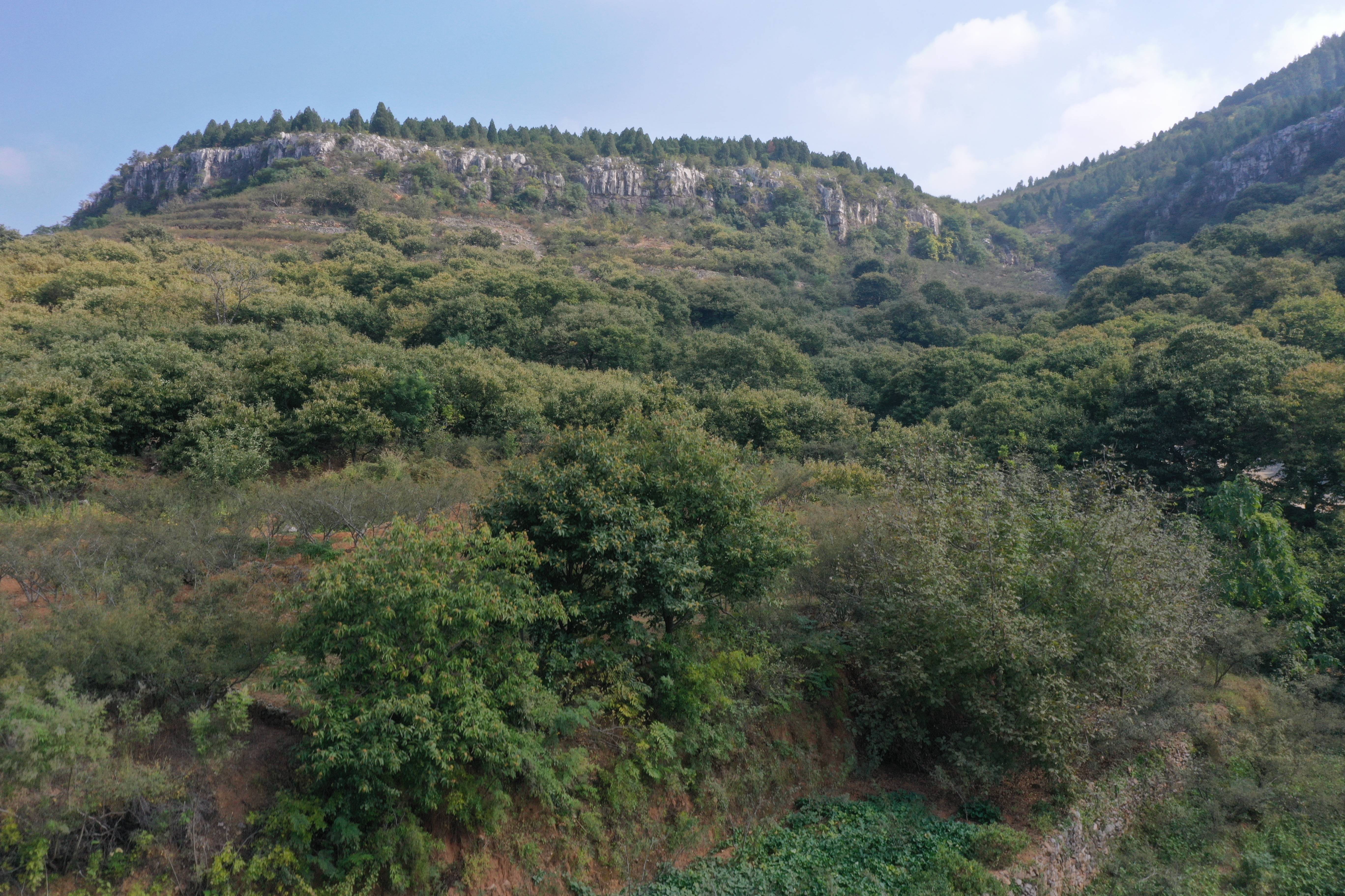 湖沟东山岱崮地貌2