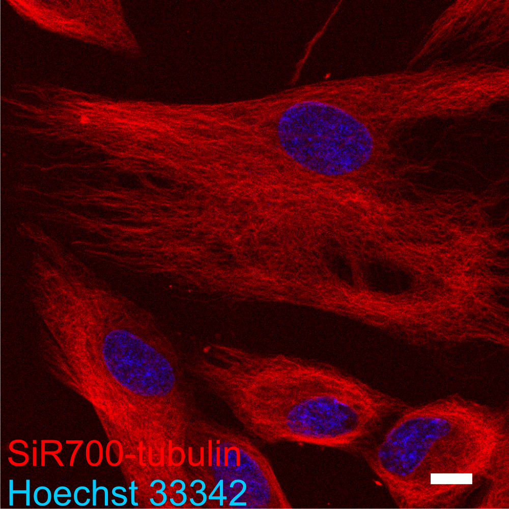SiR700 tubulin Kit 
