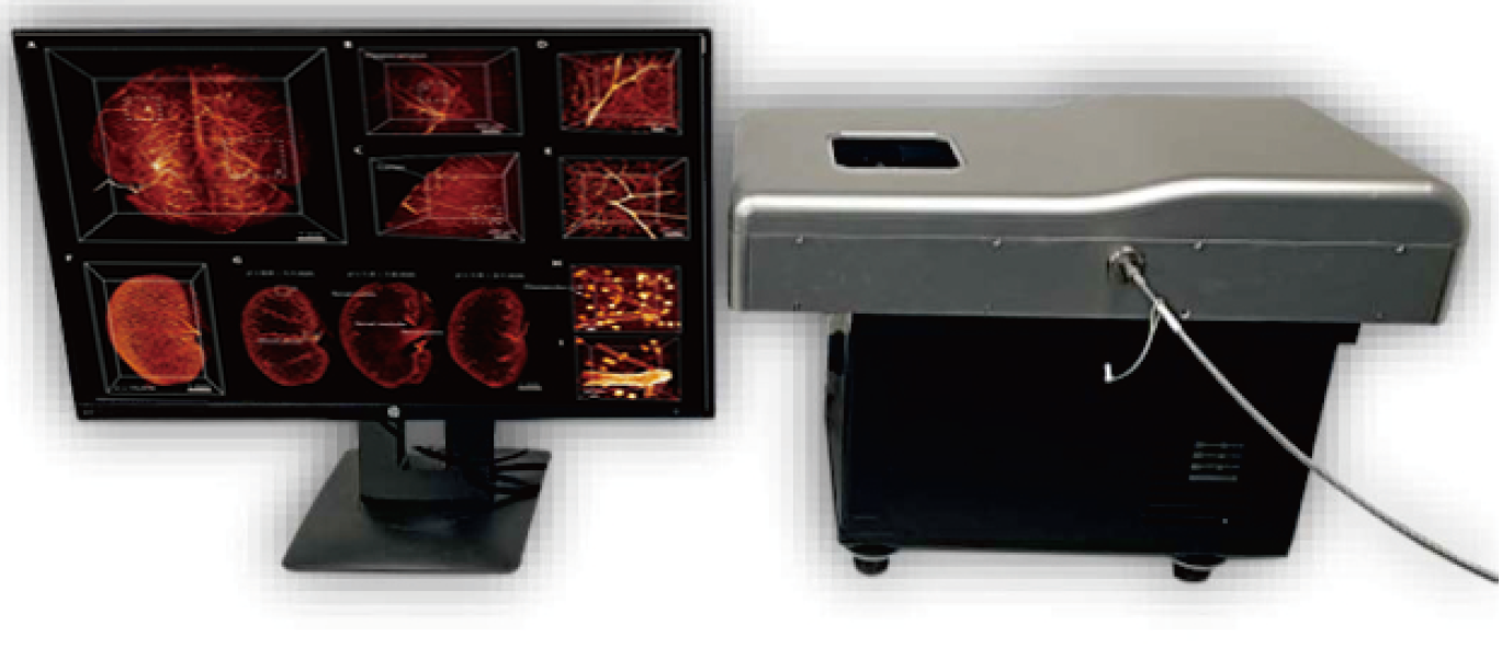 大组织光片扫描显微镜
