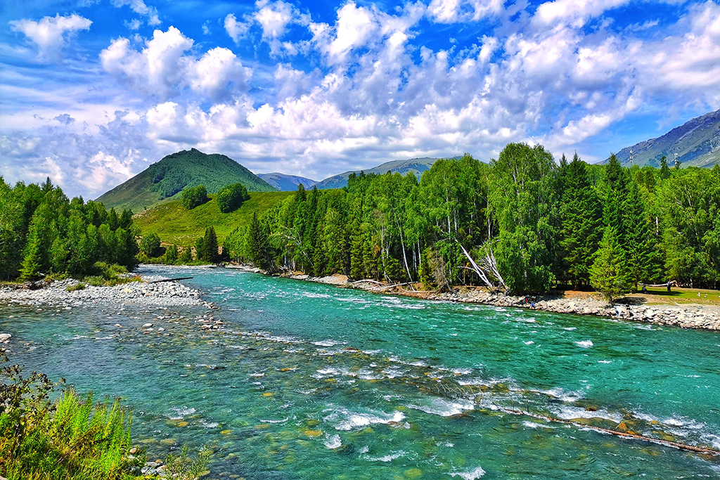 1040青山绿水