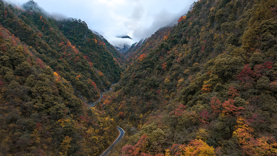 2829巴山秋色