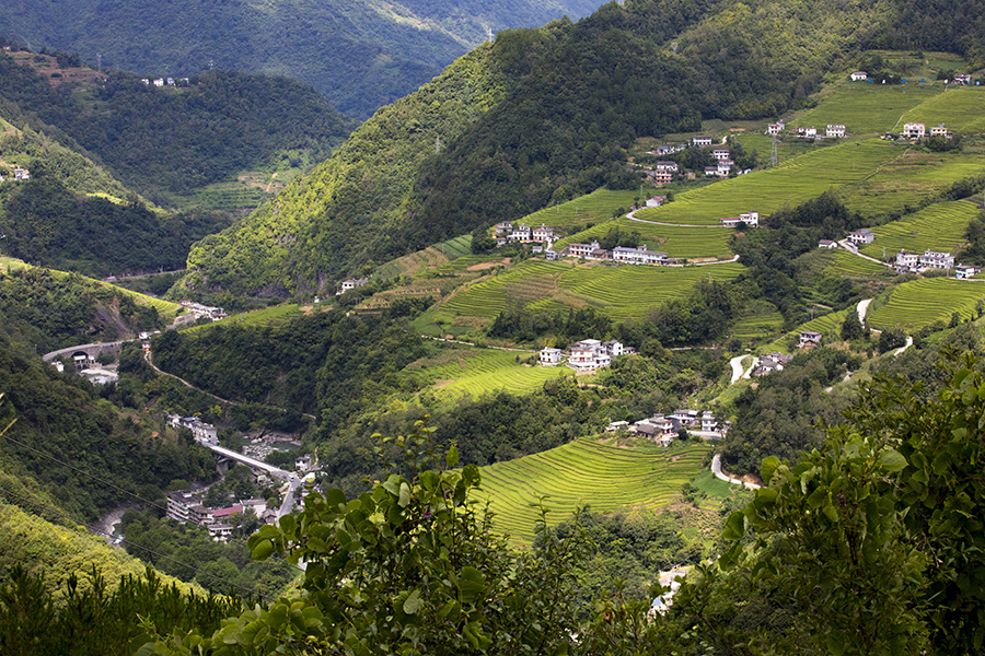 2899大山深处是我家