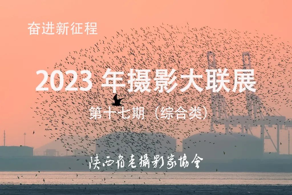 第17期 | 2023年陕西省老摄影家协会“奋进新征程”摄影大联展