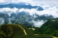 1贵州大山深处的苗寨，一个让我魂牵梦绕的地方。