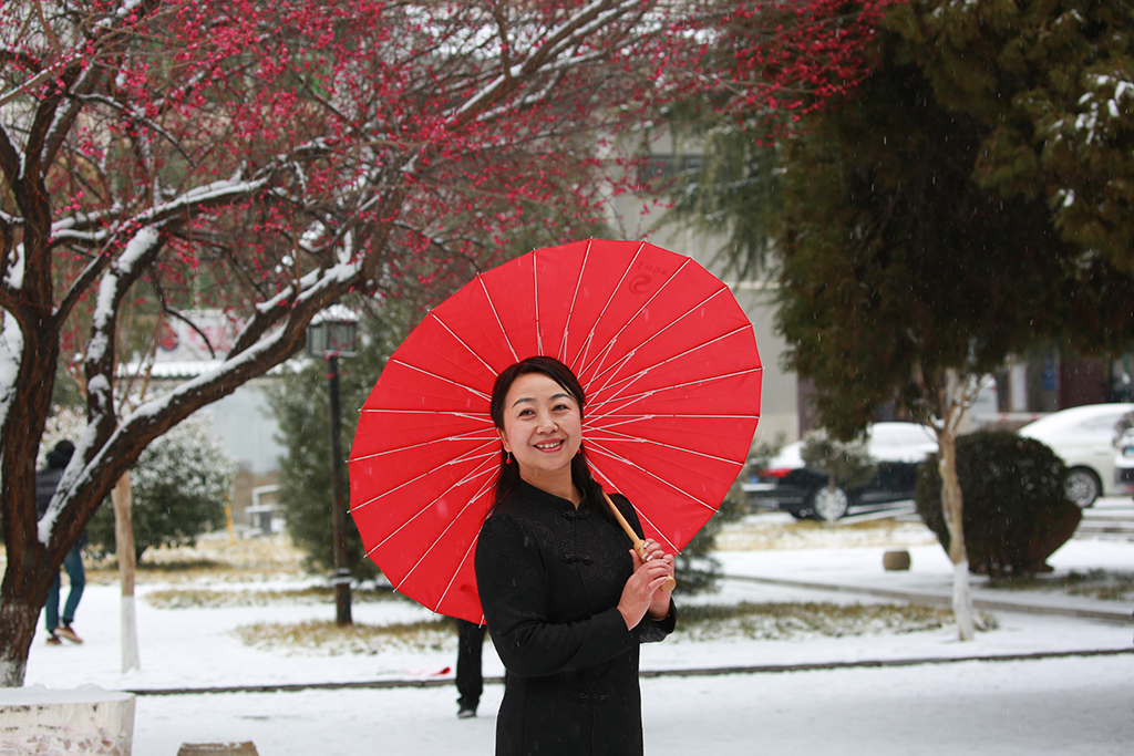 6292红梅映雪