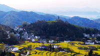 7988大山深处有人家
