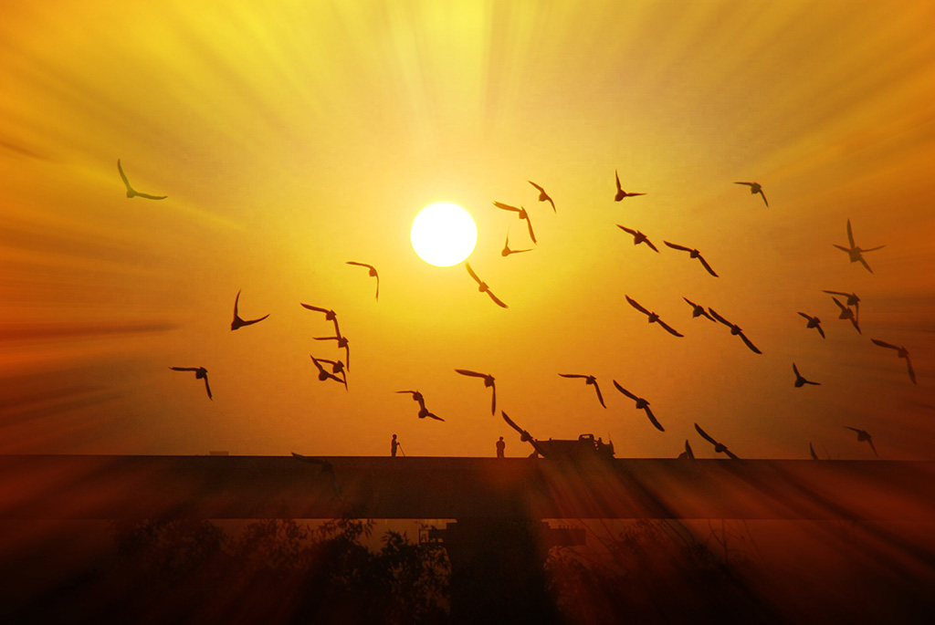 A2155  回家   黄超全  2026年1月第3周三甲