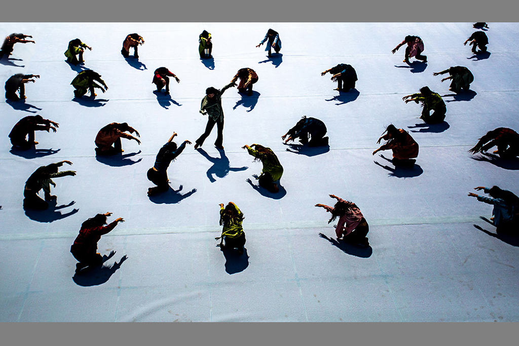 A2286阳光、影子与身体的对话  朱力民  2026年2月第2周三甲