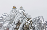 A2863雪落金顶，人间惊鸿