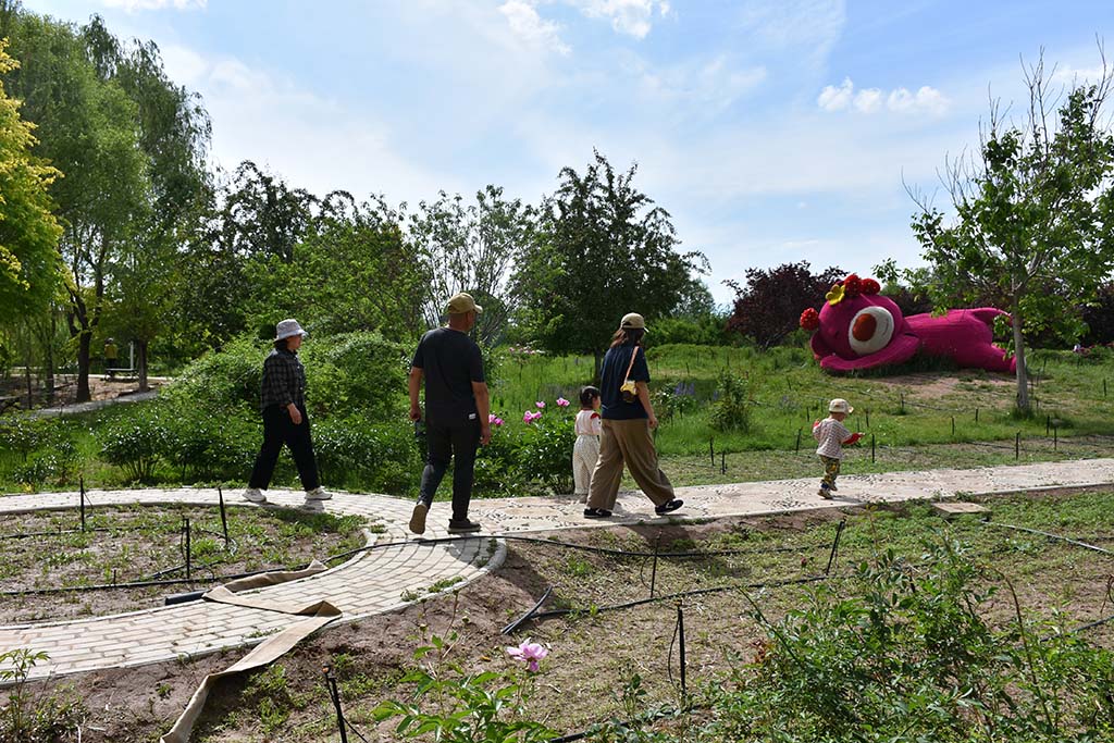 A3015夏日闲行