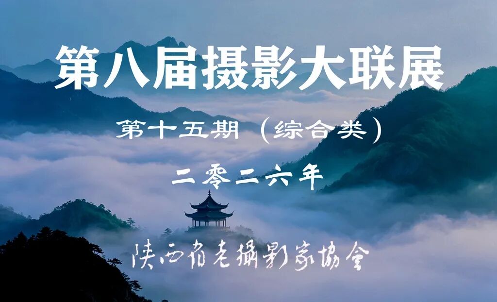 第16期 | 2026年陕西省老摄影家协会摄影大联展（专题类）