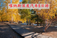 61_副本