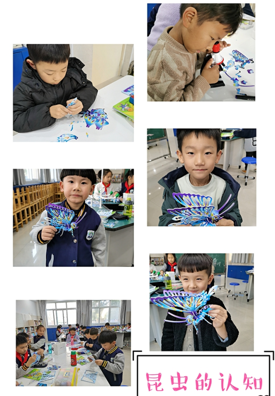 图片3