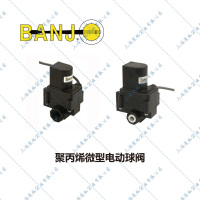 Banjo微型电动阀