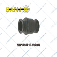 Banjo歧管单向阀