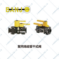 Banjo歧管干式阀