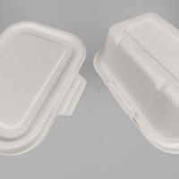 全可降解环保餐盒甘蔗渣纸浆一次性外卖打包饭餐盒带卡扣方形餐具-O1CN01Gmmkzk1Fu6uJf2onQ_!!2210294590546-0-cib