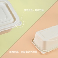现货玉米淀粉轻食餐盒一次性环保可降解餐具长方形外卖打包沙拉盒-O1CN013SY8Xz1Fu6zJ1hiVB_!!2210294590546-0-cib