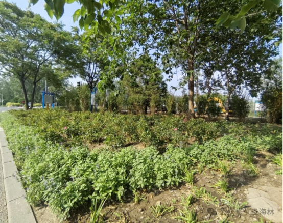 微信图片_20250610145416