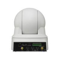 d80p-6