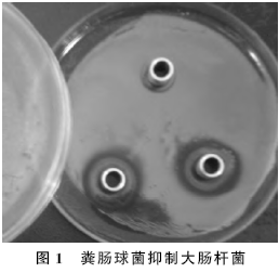 D:\我的文档\WeChat Files\wxid_ok9g18cedjoa21\FileStorage\Temp\1686271521646.png