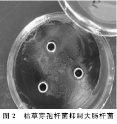 D:\我的文档\WeChat Files\wxid_ok9g18cedjoa21\FileStorage\Temp\1686271549128.png
