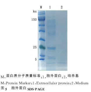 D:\我的文档\WeChat Files\wxid_ok9g18cedjoa21\FileStorage\Temp\1687592482716.png