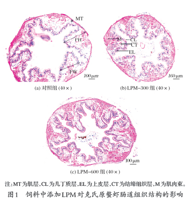 D:\我的文档\WeChat Files\wxid_ok9g18cedjoa21\FileStorage\Temp\1714962265182.png