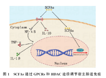 D:\我的文档\WeChat Files\wxid_ok9g18cedjoa21\FileStorage\Temp\1727238210087.png