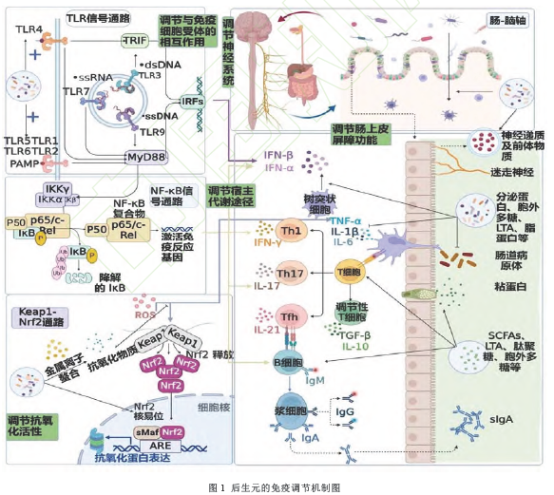 D:\我的文档\WeChat Files\wxid_ok9g18cedjoa21\FileStorage\Temp\1735112786204.png