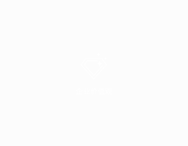 安全、活力、效率、忠诚、未来、敏捷