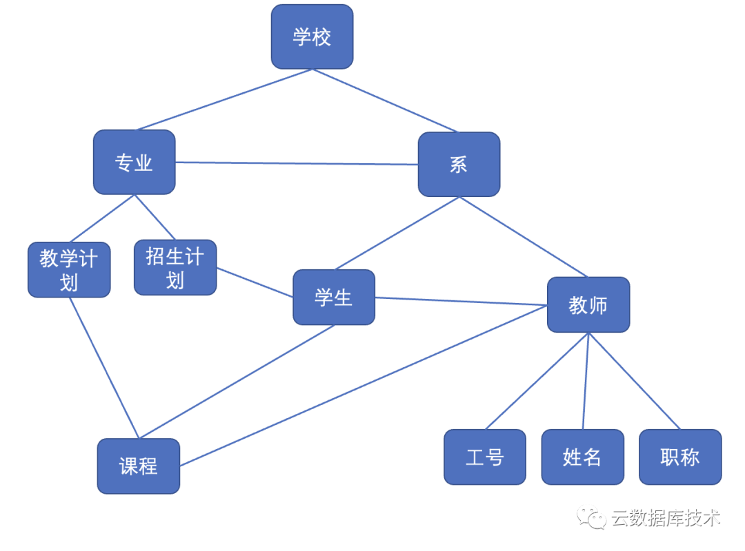 网状模型实例图片