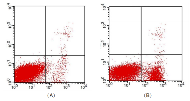 Annexin V-FITC/7-AAD Apoptosis Detection Kit-天津思慕生物科技有限公司