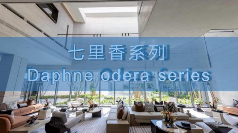 A【骏美石材】产品系列一_100