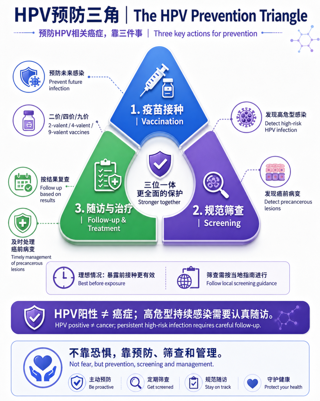 07｜HPV预防三角