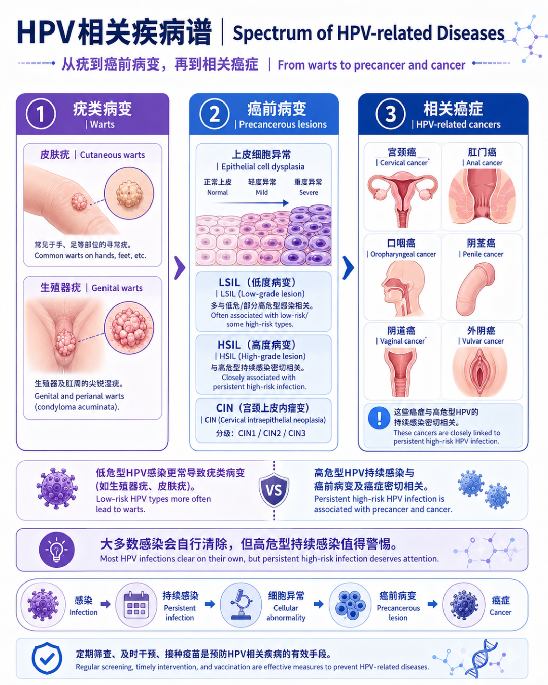 05｜HPV相关疾病谱