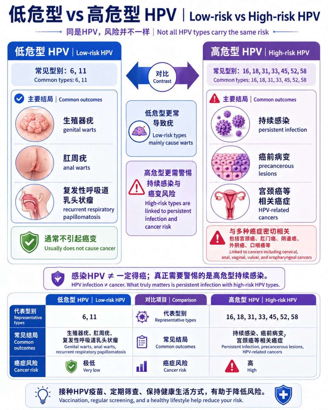 03｜低危型 vs 高危型 HPV