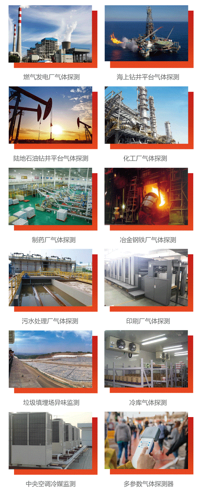 气体探测器,气体分析仪代理历程