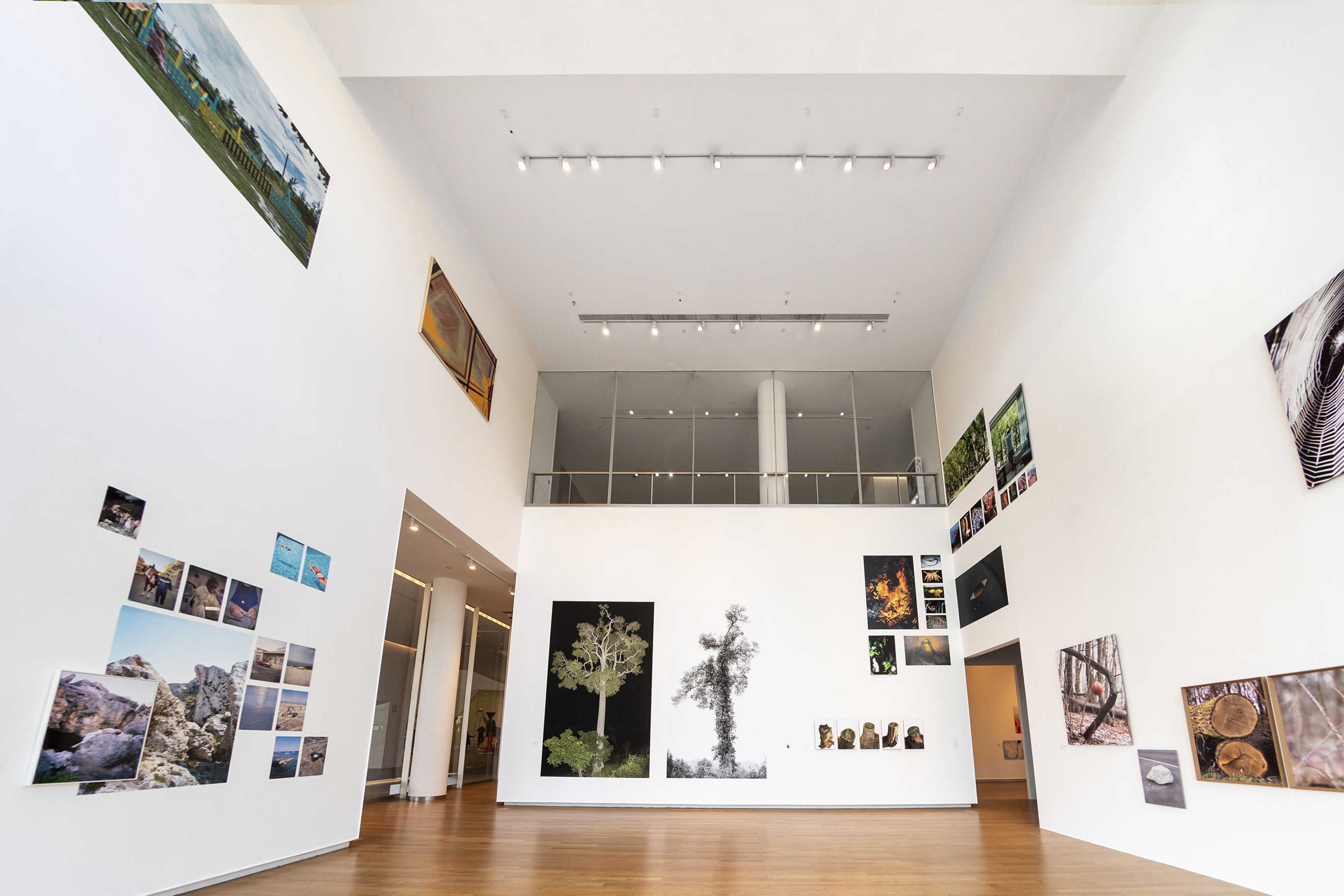 展览现场--7“平移——自然的语境”，静态摄影单元展览现场，海上世界文化艺术中心，2022。摄影：郭凌云。
