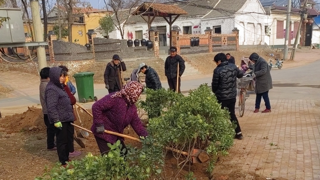 梁村乡植树补新绿乡村增颜值