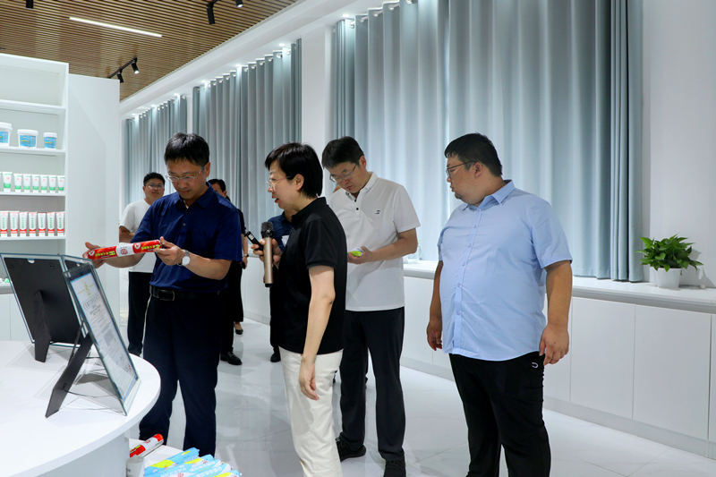 调研重点项目建设工作,县领导魏志峰,孙丽君,王得凯,陈志广,王振武,杨