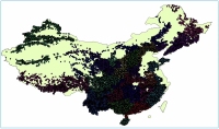地质灾害5