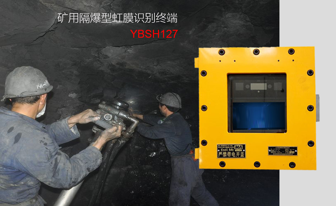 矿用隔爆型虹膜识别终端