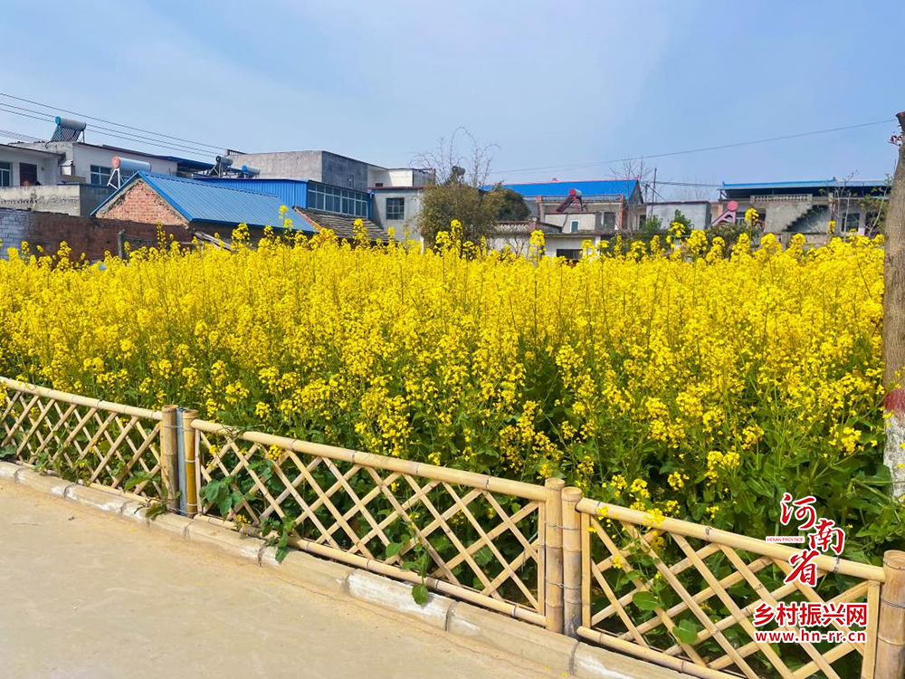 唐河县上屯镇:残垣断壁齐拆除 美丽乡村盈满绿-河南农业科技信息网