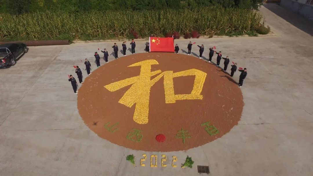 致敬农民 礼赞丰收