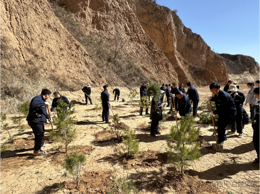 “植”此青绿，不负春光！丰百能源开展义务植树活动