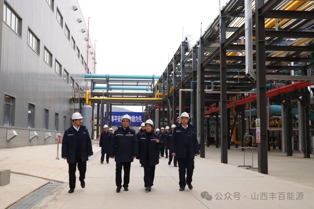 山西省自然资源厅姚青林一行莅临丰百能源检查调研！